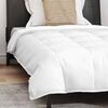 vidaXL Duvet 2-in-1 con cuscino 2 pcs Bianco Piuma d'anatra