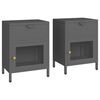 vidaXL Comodini 2 pz Antracite 40x30x54,5 cm in Acciaio e Vetro