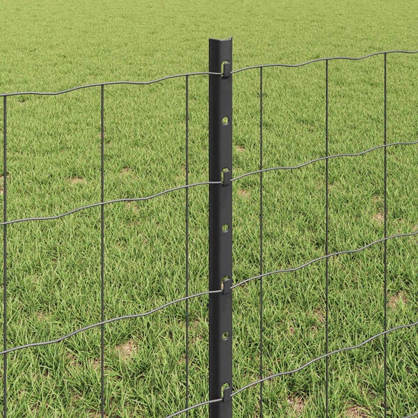Visualizzazione immagine prodotto 4 di 13