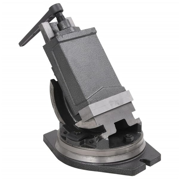 vidaXL Morsa Inclinabile a 2 Assi 160 mm