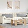 vidaXL Cuscini da Divano 2 pcs Grigio Nuvola 120 x 40 cm Tessuto