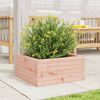 vidaXL Fioriera da Giardino 50x50x23 cm in Legno Massello di Douglas