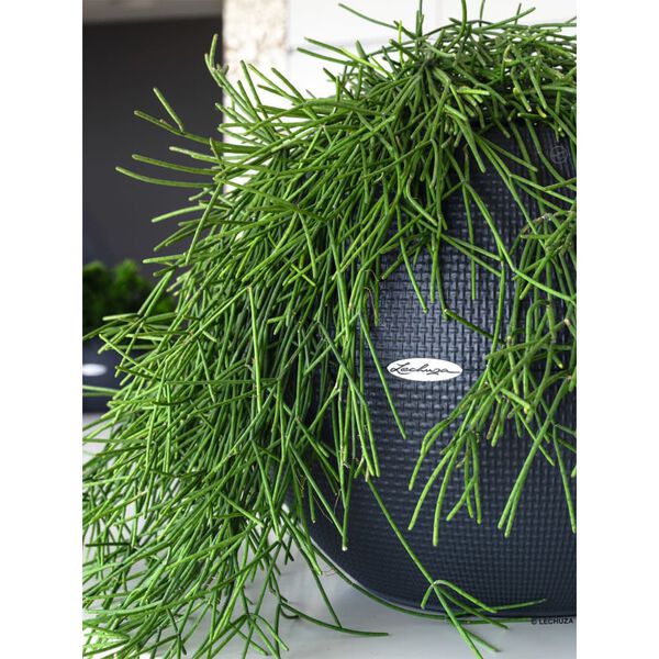 LECHUZA Fioriera PURO Color 50 ALL-IN-ONE Diametro 50 cm Ardesia