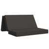 vidaXL Divano Letto Pieghevole 160 x 67 x 45 cm Grigio Scuro