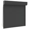 vidaXL Persiana a rullo Antracite 100 x 100 cm Alluminio e poliuretano