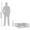 vidaXL Letto rialzato in gabbione Argento 80 x 80 x 20 cm