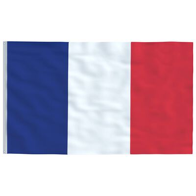 vidaXL Bandiera della Francia con Pennone in Alluminio 4 m