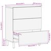 vidaXL Credenza 60x33,5x75 cm in Legno Massello di Mango Grezzo