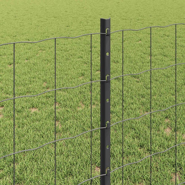 Visualizzazione immagine prodotto 4 di 13