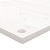 vidaXL Piano Scrivania Bianco 100x50x2,5 cm in Legno Massello di Pino