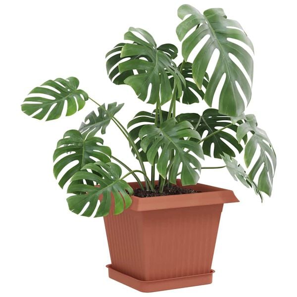 Visualizzazione immagine prodotto 3 di 10