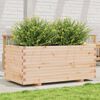 vidaXL Fioriera da Giardino 110x60x49,5 cm in Legno Massello di Pino