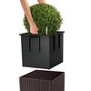 Immagine miniatura del prodotto 4 di 8