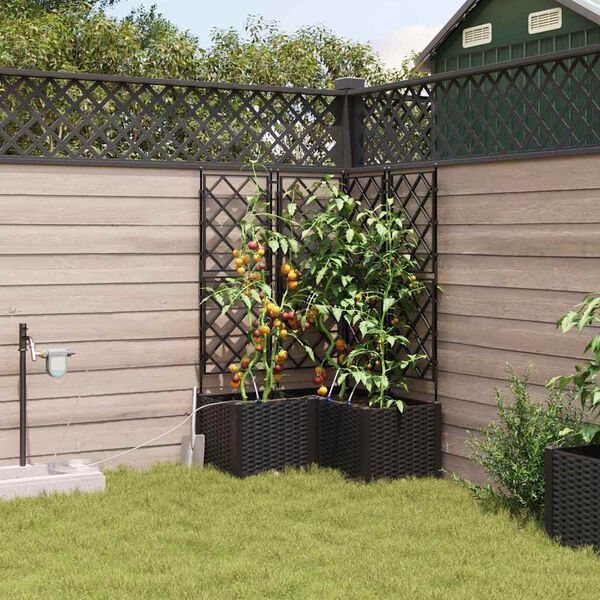 Visualizzazione immagine prodotto 3 di 9