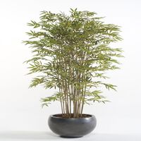 Emerald Bambù Giapponese Artificiale 150 cm