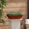 vidaXL Vaso da giardino 5 pcs Ruggine 50 x 50 x 15 cm