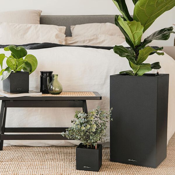 LECHUZA Fioriera CANTO Stone 30 High ALL-IN-ONE Nero Grafite