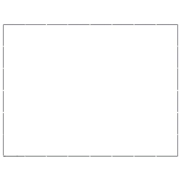 vidaXL Gabbia per Cani da Esterno in Acciaio 44,24 m&sup2;