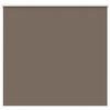vidaXL Tenda a Rullo Oscurante 165x150 cm Larghezza Tessuto 161,6 cm