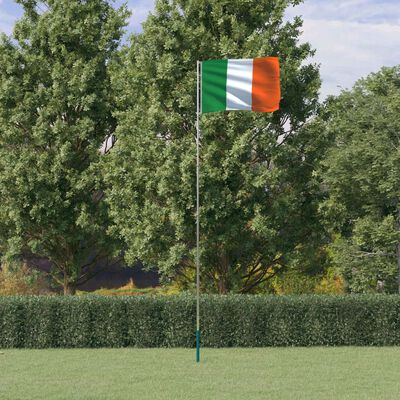vidaXL Asta e Bandiera Irlanda 5,55 m Alluminio