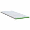 vidaXL Topper per materasso Bianco e Verde 70 x 200 cm