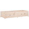 vidaXL Dormeuse senza Materasso 80x200 cm in Legno Massello di Pino
