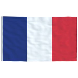 vidaXL Bandiera della Francia 90x150 cm