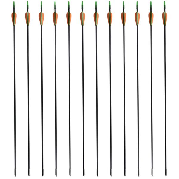 vidaXL Frecce Standard per Archi Ricurvi 12 pz 76,2/0,6 cm Fibra Vetro