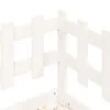 Immagine miniatura del prodotto 11 di 13