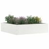 vidaXL Bordura per Prato 6 pcs Bianco 50 x 50 x 13 cm Acciaio