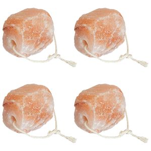 vidaXL Pietre di Sale da Leccare Rosa Sale Rock