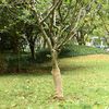Immagine miniatura del prodotto 2 di 7
