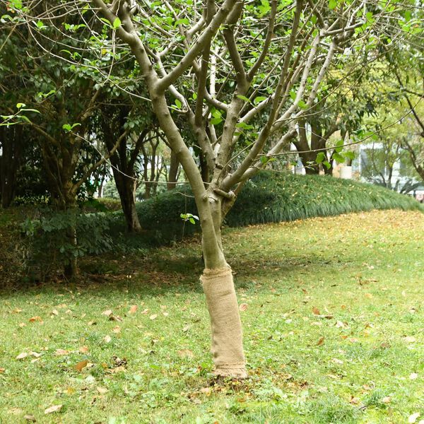 Visualizzazione immagine prodotto 2 di 7