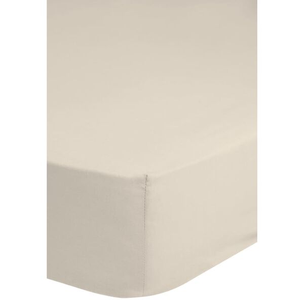 Good Morning Lenzuolo con Angoli Jersey 180x220 cm Ecru 0200.01.47