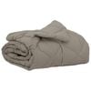 vidaXL Duvet Estivo 220 x 135 cm Estate 200 gsm Grigio chiaro