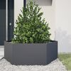 vidaXL Fioriera da Giardino Antracite Esagono 138x120x45 cm in Acciaio