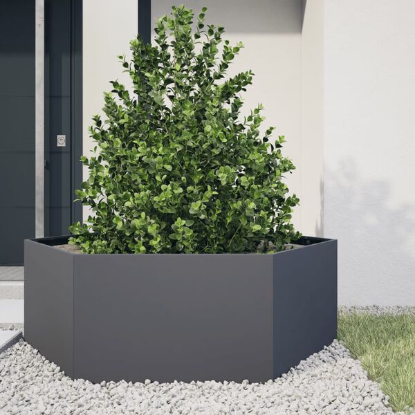 vidaXL Fioriera da Giardino Antracite Esagono 138x120x45 cm in Acciaio
