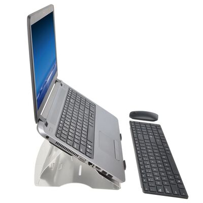 DESQ Supporto per Laptop 35x24x0,6 cm Alluminio