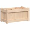vidaXL Fioriera da Giardino 60x31x31 cm in Legno Massello di Pino