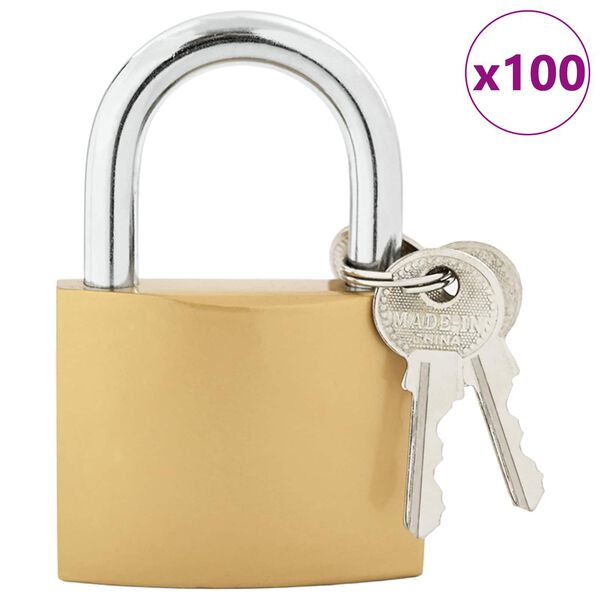 vidaXL U Lock con Chiavi 100 pcs Ottone Ferro
