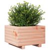 vidaXL Fioriera da Giardino 40x40x26,5 cm in Legno Massello di Douglas