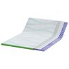 vidaXL Topper per materasso Bianco e Verde 180 x 200 x 6 cm