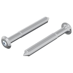 vidaXL Vite 2 pz Argento M6 x 50 mm Acciaio