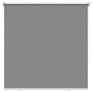 vidaXL Tenda da sole a rullo con protezione UV Grigio Chiaro