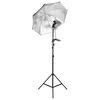 vidaXL Kit per Studio Fotografico con Set di Luci e Fondale