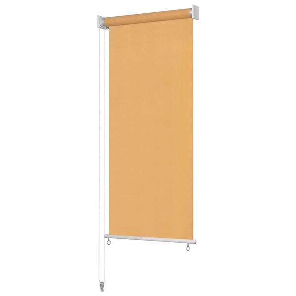 vidaXL Tenda a Rullo per Esterni 60x230 cm Beige