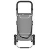 vidaXL Carrello della spesa Grigio 36.5 x 46.5 x 100.5 cm