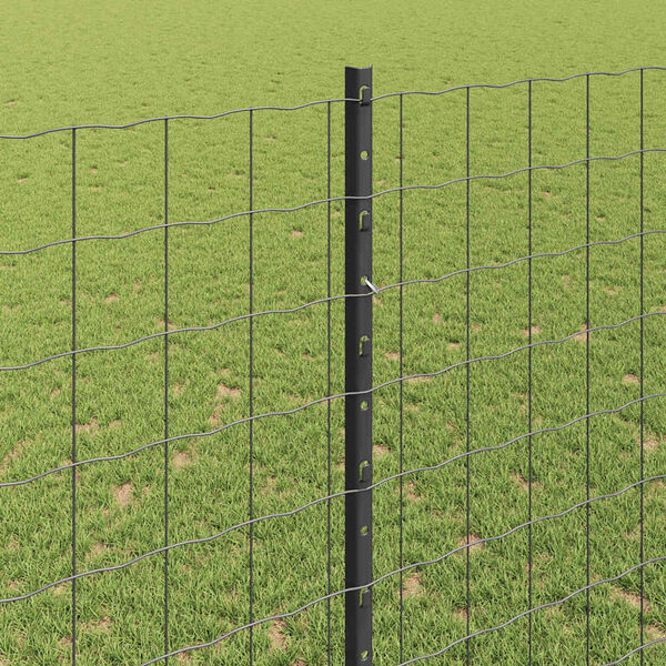 Visualizzazione immagine prodotto 4 di 14