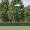 vidaXL Asta e Bandiera Bulgaria 5,55 m Alluminio