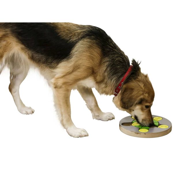 Kerbl Gioco Educativo per Cani Switch 25x2,5cm